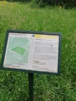 Hundeauslaufgebiet-Kalkweg (am Aussichtsberg)-Bild