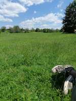 Hundeauslaufgebiet-Bürgerpark Nord (Ossendorf)-Bild