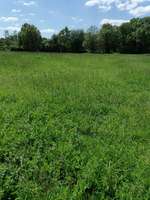 Hundeauslaufgebiet-Bürgerpark Nord (Ossendorf)-Bild