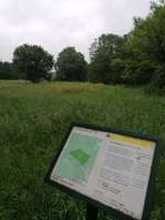 Hundeauslaufgebiet-Kalkweg (am Aussichtsberg)-Bild