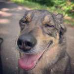 Ersteller:in Andy Profilbild