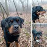 Suchmeldung-Rammstein-Bild