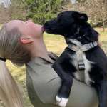 Ersteller:in Lilly Profilbild