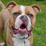 Ersteller:in Tamara Profilbild