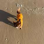 Ersteller:in Rutje Profilbild