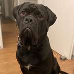 Ersteller:in Miranda Profilbild