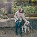 Ersteller:in Ying Profilbild