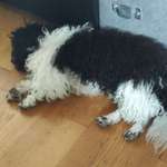 Ersteller:in Elina Profilbild