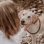 Ersteller:in Emelie Profilbild