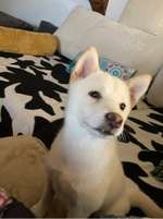 Ersteller:in Deja Profilbild