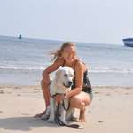 Ersteller:in Amelie Profilbild