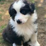 Ersteller:in Chrisovalandou Profilbild