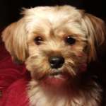 Ersteller:in Coco Profilbild