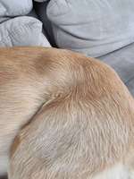 Eigenartige Beule in der Taille-Beitrag-Bild