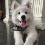 Ersteller:in Meltem Profilbild