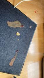 Blutiger Durchfall-Beitrag-Bild