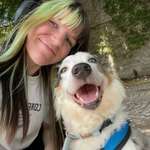 Ersteller:in Anni Profilbild