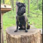 Ersteller:in Missi Profilbild