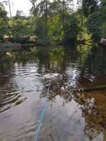 Hundeauslaufgebiet-Donoperteich und Hasselbachteich-Bild