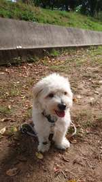 Suchmeldung-Gin-Bild