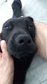 auf der suche-Beitrag-Bild