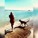 Ersteller:in Niki Profilbild