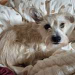 Ersteller:in Siri Profilbild