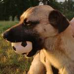 Ersteller:in Christoph Profilbild