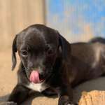 Ersteller:in Lisa Profilbild