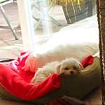 Ersteller:in Silke Profilbild