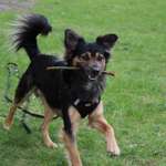 Ersteller:in Natty Profilbild