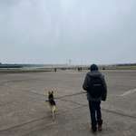 Ersteller:in Sami Profilbild