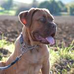 Ersteller:in Mela Profilbild