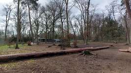 Hundeauslaufgebiet-Eingezäunter Hundeauslauf-Bild