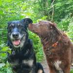 Ersteller:in Minka Profilbild