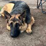 Ersteller:in Julia Profilbild