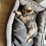 Ersteller:in Bettina Profilbild