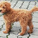 Ersteller:in Claudia Profilbild