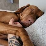 Ersteller:in D Profilbild