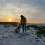 Ersteller:in L. Profilbild