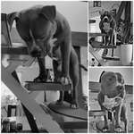 21. Handy-Foto-Challenge-Beitrag-Bild