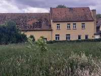 Hundeauslaufgebiet-An der Steinmühle-Bild