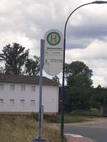 Hundeauslaufgebiet-An der Steinmühle-Bild