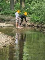 Hundeauslaufgebiet-An der Steinmühle-Bild