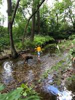 Hundeauslaufgebiet-An der Steinmühle-Bild