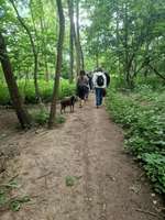 Hundeauslaufgebiet-An der Steinmühle-Bild