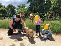 Hundeauslaufgebiet-An der Steinmühle-Bild