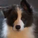 Ersteller:in Uta Profilbild