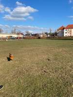Hundeauslaufgebiet-Naumburg-Bild