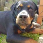 Ersteller:in Nina Profilbild